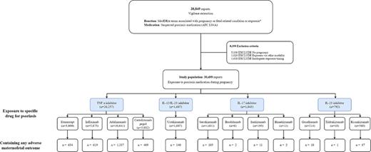 Overall study flowchart.