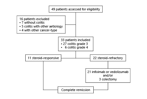 Fig. 1. Flow chart of study inclusion and outcome.