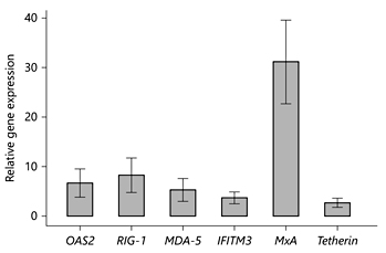 Fig. 2. Relative gene expression in PBLs after VSV infection (n = 11). The fold change of each gene transcript in the VSV-infected samples was normalized to the mock-infected samples. All samples were tested in triplicate. Whiskers represent 95% confidence interval of the mean. The results are statistically significant with p< 0.05 (exact permutation test).