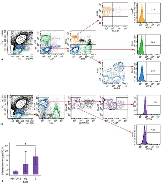Fig. 3. Simultaneous detection of VSV-G in immune cell subsets. Flow cytometric analysis of T cells, B cells, and NK cells (a) as well as monocytes and monocytes/DC (b) 18 h after VSV infection at MOI = 1. A total of 50,000 cells were acquired. Data shown are from 1 representative donor. The percentage of VSV-G-positive (VSV-G+) cells are indicated. c Percentage of VSV-infected cells within HLA-DR+ population. The error bars represent the means of 4 donors ± 95% confidence interval (t test, * p < 0.05).