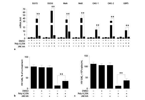 Fig. 5. JAK Inhibitor compromises the induction of interferons (IFN)-stimulated genes (ISGs) and anti-HIV activity by SN from Poly I:C-stimulated End1/E6E7 cell cultures. a Macrophages were treated with 2 µM JAK inhibitor (JAK Inh) or DMSO for 1 h and then incubated with Poly I:C/SN for additional 12 h. Cellular RNA was subjected to real-time polymerase chain reaction (RT-PCR) for indicated genes and GAPDH RNA. Data are expressed as indicated gene RNA levels relative (fold) to untreated control, which is defined as 1. b, c Macrophages were treated with or without JAK inhibitor (JAK Inh) for 1 h and incubated with Poly I:C/SN for additional 24 h prior to HIV infection. After washing away unbound virus, fresh medium containing Poly I:C/SN or JAK Inhibitor was added to the cultures. Total RNA extracted from macrophages (b) or cell-free supernatant (c) was subjected to RT-PCR for HIV GAG gene quantification 8 days post HIV infection. Data are shown as mean ± SD for 3 independent experiments (* p < 0.05, ** p < 0.01).
