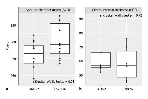 Different Innate Immune Responses in BALB/c and C57BL/6 Strains ...