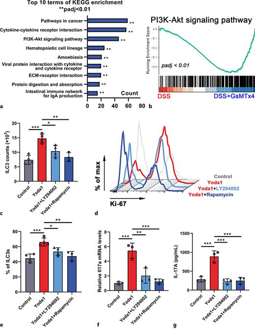 Inhibition of Piezo1 Ameliorates Intestinal Inflammation and Limits the ...