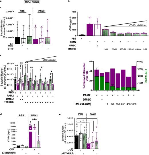 sTNF is not required for priming of BMDMs. a Bone marrow cells were extracted from TNF−/− mice and differentiated for 6 days in L929 conditioned culture media and subsequently seeded into 24-well plates at 1 × 106 cells/well and treated with either 1 μg/mL PAM2 or equal volume of PBS for 12 h. BMDMs were then treated with either 2,000 pg/mL murine TNF (sTNF), or ovalbumin for 1 h before S. aureus infection for 5 h at MOI 2:1. Data were obtained from BMDMs isolated from 5 mice. BMDMs from each mouse were run as an independent assay which contained 2 technical replicates. Each data point represents the average of two technical replicates. b Soluble TNF protein was quantified from cellular supernatants collected from WT BMDMs treated with either equal volume PBS only, 1 μg/mL PAM2 only, DMSO vehicle control, or PAM2 plus increasing concentrations of TMI-005 (green bars as indicated). Results were obtained from two independent experiments (for various TMI-005 concentrations) and from three independent experiments for PAM2 and PAM2+DMSO control; all conditions in each independent experiment had three technical replicates. c WT BMDMs were pretreated for 1 h with TMI-005 at increasing concentrations and then subsequently treated with either 1 μg/mL PAM2 or equal volume PBS with or without increasing concentrations of TMI-005 (concentrations in order from left to right; 1 nm, 30 nm, 150 nm, 250 nm, 450 nm, or 1 μm) for 12 h followed by S. aureus infection for 5 h (MOI 2:1). Bacterial burdens (CFUs) were determined after overnight incubation on TSA plates. Results were obtained from five independent experiments and pooled. Two experiments included only lower concentrations of TMI-005 (1 nM–150 nM). One experiment included only TMI-005 concentrations 250 nm and 450 nm, one experiment included concentrations 250 nm, 450 nm, 1 μm, one experiment included 1 nM-1 μM. PBS, PBS+vehicle control, PAM2, and PAM2+vehicle control were included in all five experiments and each experiment had two technical replicates. Statistical analysis was performed with two-way ANOVA *p = 0.0204, **p = 0.0074 (left panel). Right panel: overlay of percent improved bacterial clearance (purple bars) with sTNF protein quantification (green bars as in B). Percent improved clearance over PBS (purple bars) was calculated for each PAM2-treated BMDM condition treated with increasing concentrations of TMI-005 when compared to respective PBS-treated BMDMs treated condition with matching TMI-005 concentrations (derived from C-left panel). d Soluble TNF protein quantified from WT BMDM cellular supernatants treated with either 1 μg/mL PAM2 or equal volume PBS, 1 μg/mL PAM2 or equal volume PBS in the presence of 100 μg/mL protein control (ovalbumin), or 1 μg/mL PAM2 or equal volume PBS in the presence of 100 μg/mL p75TNFR:Fc. Results were obtained from three independent experiments which had 3 technical replicates each. Statistical analysis was performed with ordinary one-way ANOVA: ***p ≤ 0.0005. e WT BMDMs treated with either 1 μg/mL PAM2 or equal volume PBS with or without 100 μg/mL p75TNFR:Fc or OVA protein control for 12 h followed by S. aureus infection for 5 h (MOI 2:1). Bacterial burdens (CFUs) were determined after overnight incubation on TSA plates. Results were obtained from 5 independent experiments. Each experiment included 2 technical replicates and each data point represents the average of 2 technical replicates. Statistical analysis was performed with two-way ANOVA: *p = 0.0165, ***p = 0.0005, ***p = 0.0001.