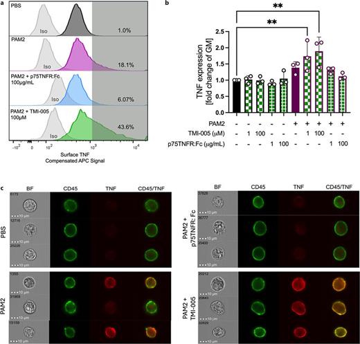 TMI-005 enriches membrane-bound TNF on the surface of PAM2-stimulated macrophages. TNF expression on the surface of WT BMDMs stimulated with PAM2 and treated with different concentrations of either TMI-005 or p75TNFR:Fc was analyzed via flow cytometry. Flow cytometry data were gated on FSC/SSC, singlets, live cells, and CD45 expression. a BMDCs treated with PAM ± TMI-005 or p75TNFR:Fc were stained with an APC-labelled anti-murine TNF antibody (saturated peaks) or a nonspecific isotype control antibody (light grey peaks). b Fold change in membrane-bound TNF expression was calculated by averaging the compensated geometric mean APC signal across two technical replicates, then dividing the averaged values over PBS controls. Three experimental replicates are shown each contain two technical replicates. PAM2 + 1 μg/mL TMI-005 and PAM2 +100 μg/mL TMI-005 conditions exhibited significantly higher TNF surface expression (one-way ANOVA, Dunnett’s multiple comparisons test, adjusted p value = 0.0069 and 0.0011, respectively). c ImageStream data were gated on bright-field area and aspect ratio to select single cells and bright-field RMS gradient to select focused cells. Cells were filtered to include those with average CD45/FITC intensity. Representative images were selected from events in the 90th percentile of APC/TNF fluorescent intensity.
