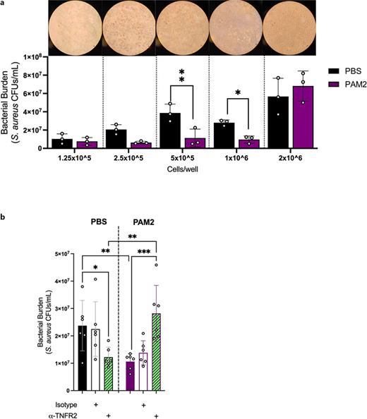 a Immortalized WT BMDMs seeded into 24-well plates at either (left to right) 1.25 × 105, 2.5 × 105, 5 × 105, 1 × 106, and 2 × 106 cells/well and stimulated for 12 h with either 1 μg/mL PAM2 or equal volume PBS followed by infection with S. aureus for 5 h at MOI 2:1. Microscopy images highlighting cell density were captured after S. aureus infection with a 20× objective. Results were obtained from three independent experiments that had two technical replicates each. The average of the two technical replicates is shown for each experiment. Statistical analysis was performed using 2-way ANOVA: *p = 0.0319, **p = 0.0027. b WT BMDMs were treated with Fc receptor block (1:6,400) prior to 1 h pretreatment with IgG isotype control or TNFR2 blocking antibody (1 μg/mL). Subsequently, BMDMs were stimulated with PAM2 (1 μg/mL) or equal volume PBS in the presence of isotype control or TNFR2 blocking antibody for 12 h followed by S. aureus infection for 5 h at MOI 2:1. Results were obtained from 6 independent experiments that contained two technical replicates each. Each data point represents the average of two technical replicates per experiment. Statistical analysis was performed using 2-way ANOVA: *p = 0.0305, **p = 0.0060, ***p = 0.0008.
