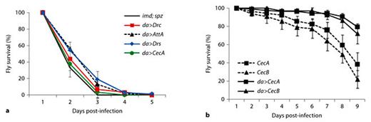 Fig. 1. Protective effect of antimicrobial peptides on survival of flies infected with F. tularensis LVS. Antimicrobial peptides were ectopically expressed using the UAS/GAL4 system with the ubiquitously active daughterless (da) promoter indicated by ‘da>’. UAS-constructs were Attacin A (AttA), Cecropin A (CecA), Cecropin B (CecB), Drosocin (Drc), Drosomycin (Drs). a Survival of LVS-injected imd; spz immune-deficient flies which overexpress single antimicrobial peptides. Control flies were w1118; b pr imd; da-GAL4 spzrm7 with an MLL of 1.7 ± 0.1 days. The difference in MLL (ΔMLL) was 0.5 ± 0.2 days for da>AttA, 0.3 ± 0.1 days for da>CecA, 0.1 ± 0.0 days for da>Drc and 0.6 ± 0.1 days for da>Drs. b Survival of LVS-injected wild-type flies overexpressing Cecropin A or B with an MLL of 9.9 ± 0.5 and 10.3 ± 0.4 days, respectively, in comparison to 7.9 ± 0.4 days for LVS-infected genotype controls; results shown are from one fly strain transgenic for either UAS-CecA or UAS-CecB; for each UAS-construct similar results were obtained from two additional independent fly strains. Median values of three independent experiments with 20–80 flies per experiment are shown, error bars show standard error of mean.