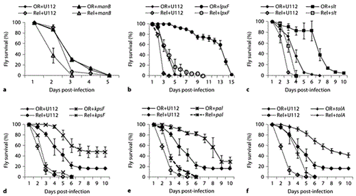 Fig. 2. Survival of wild-type (OR) and RelishE20 immune deficient (Rel) D. melanogaster flies infected with F. novicida U112 or U112-derived mutant strains as indicated. a–c 30–45 wild-type or 40–55 RelishE20 mutant flies per experiment were infected by injection. d–f 25 wild-type or RelishE20 mutant flies per experiment were infected by pricking. Median values of three independent experiments are shown, error bars show standard error of the mean. For statistical analysis of the data see online supplementary tables S2 and S3.