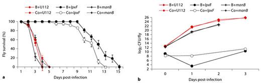 Fig. 4. Blocking phagocytosis improved the survival of lpxF mutant-infected flies but not that of manB mutant-infected flies. a Survival of wild-type flies injected with either F. novicida U112 or U112-derived mutant strains as indicated. Prior to infection flies were injected with latex beads (B) to block phagocytosis of bacteria; control flies were injected with buffer (Co). b Growth of Francisella in wild-type flies. Flies were treated as described in a. Median values of three independent experiments with at least 35 flies per survival experiment and 4 flies per sample for viable count analysis are shown, error bars show standard error of the mean. For statistical analysis of the data see online supplementary table S4.