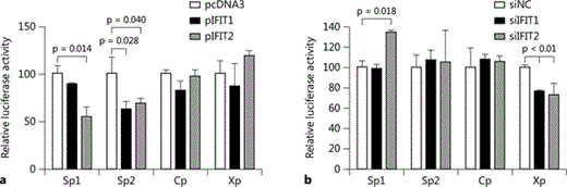 Fig. 4. IFIT1 and IFIT2 affect HBV S promoter activity. a Huh7 cells were cotransfected with pRT-TK and HBV promoter report plasmid, pSp1, pSp2, pCp or pXp, together with pcDNA3, pIFIT1 or pIFIT2. pRL-TK was used as an internal control. Relative luciferase activity was measured by dual-luciferase assay 48 h after transfection. The promoter activity of cells transfected with pcDNA3 was set as 100. b Huh7 cells were first transfected with siRNAs as indicated, then transfected with HBV promoter report plasmid together with pRL-TK as the internal control the next day. Luciferase activity was measured 48 h after plasmid transfection. The relative luciferase activity in cells transfected with siControl was set as 100.