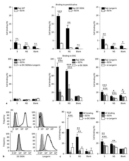 Fig. 3. Primary DC and LC bind to the glycoprotein SAG. Cell-binding assay with fluorescently labelled Raji cells (a) or DC and LC (c) to coated parotid saliva (1:10 dilution) or SAG (1:100 dilution), with or without EGTA or blocking antibodies against DC-SIGN and Langerin. Data are shown as mean ± SEM of 3 independent experiments. The percentage of cell binding was calculated relative to the total fluorescence of the specific start cell populations. Total fluorescence (100% control) of the different cell populations ranged from 33,548 to 38,874, with an average of 36,600 ± 1,946. b Expression of DC-SIGN and Langerin on monocyte-derived DC and epidermal LC was determined by flow cytometry. Secondary antibody control: gray histograms, isotype control: thin line, CLR staining: thick line. Blank = No donor; NS = non-secretor donor; S = secretor donor. * p ≤ 0.05, ** p ≤ 0.01, *** p ≤ 0.001.