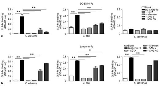 Fig. 5. DC-SIGN and Langerin binding to oral micro-organisms is inhibited with SAG. We determined binding of DC-SIGN and Langerin to oral micro-organisms by ELISA using DC-SIGN-Fc and Langerin-Fc constructs. Micro-organisms were coated onto ELISA plates and incubation was performed in absence or presence of EGTA, mannan or SAG (1:10 dilution). Data are shown as mean ± SEM of 3 (C. albicans and E. coli) or 1 (S. salivarius) independent SAG donors. Blank = No donor; NS = non-secretor donor; S = secretor donor. * p ≤ 0.05, ** p ≤ 0.01.