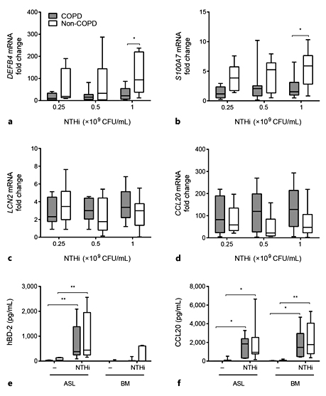 Fig. 2. AMP expression by COPD ALI-PBEC is lower compared to non-COPD. COPD (gray boxplots, n = 12 patients) and non-COPD (white boxplots, n = 8 patients) ALI-PBEC were stimulated with different concentrations of UV-inactivated NTHi for 24 h. mRNA expression of the AMPs DEFB4/hBD-2 (a), S100A7 (b), LCN2 (c), and CCL20 (d) was assessed by qPCR. Stimulations were performed in duplicate. Data are shown as the fold change in mRNA compared to untreated cells. Assessment of hBD-2 (e) and CCL20 (f) protein secretion in the apical surface liquid (ASL) and basal medium (BM) of COPD (gray boxplots, n = 9) and non-COPD (white boxplots, n = 7-8) ALI-PBEC stimulated with 1 × 109 CFU/mL UV-inactivated NTHi for 24 h. Stimulations were performed in duplicate. Results are shown as boxplots with whiskers from minimum to maximum or bars (means ± SEM). The analysis of differences was conducted with a 2-way ANOVA and Bonferroni post hoc test. * p < 0.05, ** p < 0.01.