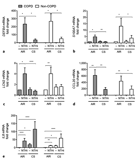 Fig. 6. Suppression of AMPs by CS in both COPD and non-COPD ALI-PBEC. COPD (gray bars, n = 12 patients) and non-COPD (white bars, n = 8 patients) ALI-PBEC were exposure to AIR or CS and subsequently stimulated with 1 × 109 CFU/mL UV-inactivated NTHi for 3 h. mRNA expression of DEFB4 (a), S100A7 (b), LCN2 (c), CCL20 (d), and IL8 (e) was determined by qPCR. Stimulations were performed in duplicate. Data are shown as the fold change in mRNA compared to untreated cells and depicted as the mean ± SEM. The analysis of differences was conducted with a paired t test. * p < 0.05, ** p < 0.01, **** p < 0.0001.