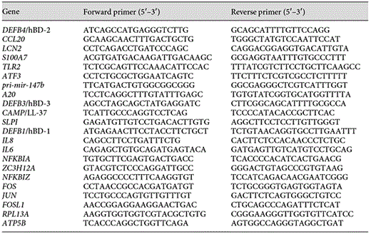 qPCR primer sequences