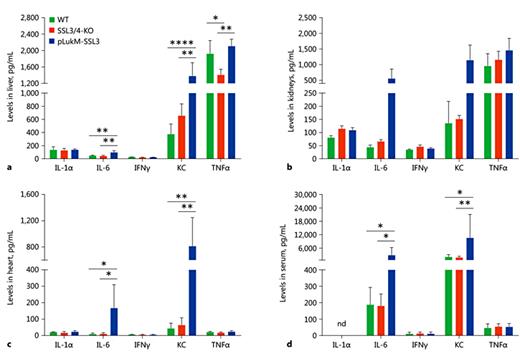 Fig. 5. Luminex analysis of produced proinflammatory cytokines in murine organ homogenates and blood. The produced IL-1α, IL-6, IFNγ, KC, and TNFα levels were determined by Luminex analysis in the liver (a), kidney (b), and heart (c) homogenates, and sera (d) of C57BL/6 WT mice infected with Staphylococcus aureus wild type (WT) (green), SSL3/4-knockout (KO) (red), or pLukM-SSL3 (blue). For each strain, 2-4 organ samples and 8-10 serum samples were analyzed, and data points include mean and SD. Data were analyzed using one-way ANOVA followed by the Tukey multiple-comparison test (with the exception of b due to n = 2 for SSL3/4-KO). * p ≤ 0.05, ** p ≤ 0.01, **** p ≤ 0.0001. nd, nondetectable levels.