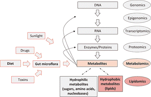 Fig. 3. Metabolomics in systems biology. Genes (DNA) encode mRNAs that, in turn, encode proteins that collectively, and together with environmental factors (e.g., diet), lead to the metabolite inventory of a cell, tissue, or body fluid. Metabolites, in turn, can regulate gene expression, enzymatic activities, and protein functions. Among the metabolites are lipids. Novel approaches now allow for qualitative and quantitative measurements at each level on global scales (genomics, epigenomics, proteomics, and metabolomics). Lipidomics can be viewed as a subdiscipline of metabolomics under the umbrella of systems biology.