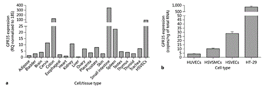 Fig. 2. GPR35 is expressed in human VSMCs and ECs. hGPR35 mRNA expression in human tissues and HSV ECs (n = 3) normalized to 18S and expressed as RQ relative to hGPR35 expression in the heart (a) or in a range of immortalized and primary cells (b) was quantified via TaqMan. HSV ECs (n = 3), and SMCs (n = 3), HUVECs (n = 3) and HT-29 colon carcinoma cells are expressed as copy numbers per nanogram of RNA. Data are shown as means ± SEM.