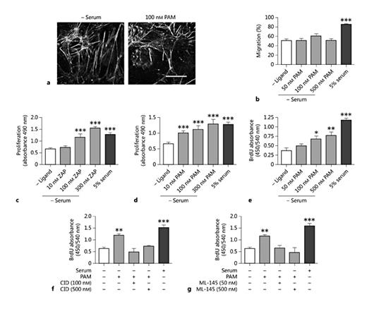 Fig. 6. GPR35 agonists stimulate HSV EC proliferation. a Representative images of the HSV EC cytoskeleton, stained for F-actin following stimulation with 100 nM pamoic acid (PAM) for 45 min (n = 3). Scale bar = 50 µm. b Migration of quiescent HSV ECs is unaffected in the presence of increasing concentrations of PAM (50, 100 and 500 nM; n = 2; 90 individual scratch measurements/condition/experiment), measured by scratch-wound healing assay. Increasing concentrations of zaprinast (ZAP; n = 3; c) or PAM (n = 3; d) induced proliferation in quiescent HSV EC, as measured by MTS or BrdU assay (e) following 24 h of ligand exposure. HSV EC proliferation in response to GPR35 agonists was blocked via coincubation with increasing concentrations (50-500 nM) of the GPR35 antagonists CID-2745687 (CID; f) or ML-145 (g), measured via BrdU assay 24 h after stimulation (n = 2 per agonist/antagonist pair). Data are shown as means ± SEM. * p < 0.05, ** p < 0.01, *** p < 0.001 versus serum control, analyzed via 1-way ANOVA with Dunnett's test for multiple comparisons.