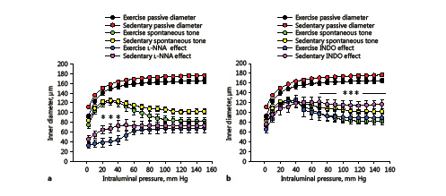 Fig. 2. Exercise training-induced remodeling of rat intramural coronary arterioles. The inner diameter as a function of increasing transmural pressure was raised in a stepwise manner. Spontaneous tone and myogenic constriction in the control condition (green, trained; yellow, sedentary; a, b), in the effect of the NOS inhibitor Nω-nitro-L-arginine (L-NNA, 10–5 M; blue, trained; magenta, sedentary; a), and in the effect of the cyclo-oxygenase inhibitor indomethacin (INDO, 2.8 × 10–5 M; b). Passive pressure-diameter curves are also shown for easy comparison (black, trained; red, sedentary; a, b). Mean values were used from 2-way ANOVA tests with Tukey paired comparisons: * p < 0.05 and *** p < 0.001 between sedentary (n = 10) and exercised (n = 6) groups in the presence of the inhibitors.