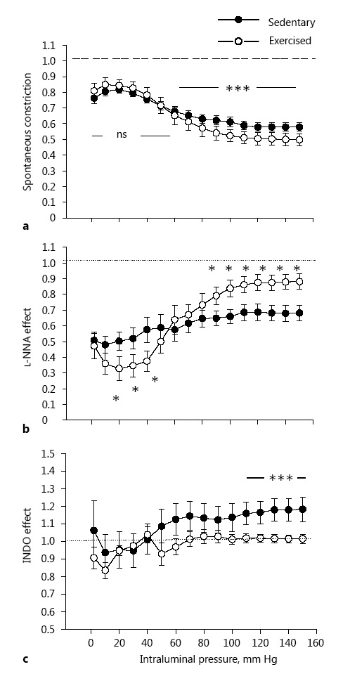Fig. 3. Exercise training-induced remodeling of rat intramural coronary arterioles compared with sedentary controls. a Inner diameter in spontaneous tone and myogenic constriction expressed as a ratio of the passive diameter. The dashed line refers to the diameter of arterioles in the passive condition, taken as the reference. Alteration of the spontaneously contracted inner diameter in response to the NOS inhibitor Nω-nitro-L-arginine (L-NNA, 10–5 M; b) and the cyclo-oxygenase inhibitor (INDO, 2.8 × 10–5 M; c). The dotted line (b, c), representing the diameter of arterioles in control myogenic constriction, was taken as a reference at each pressure level. Mean values were used from 2-way ANOVA tests with Tukey paired comparisons: * p < 0.05 and *** p < 0.001 between sedentary (n = 10) and exercised (n = 6) groups.