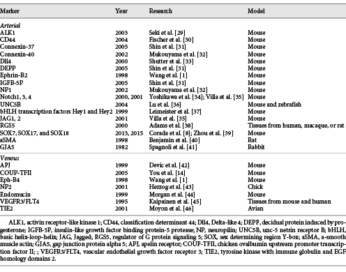 Arterial and venous identity markers already identified