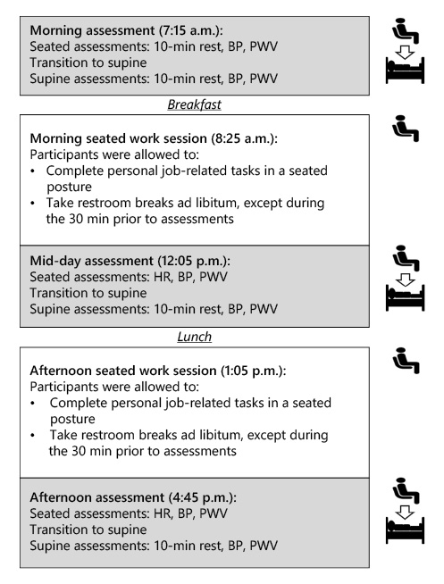 Fig. 1. Experimental protocol. All participants reported to the laboratory between 7:00 and 7:30 a.m. BP and PWV, respectively, were measured 3 times (morning, midday, and afternoon) in a seated posture followed by supine. Standardized meals were consumed immediately after morning and afternoon assessments. Then, participants began their morning and afternoon prolonged sitting sessions (3 h and 40 min per session) during which they performed self-provided desk work and were allowed to take necessary restroom breaks. BP, blood pressure; PWV, pulse wave velocity; HR, heart rate.