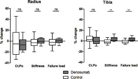Fig. 3. Percentage change in cortical porosity, estimated stiffness and failure load at the distal radius and distal tibia. Boxes show median and 1st and 3rd quartiles. Whiskers extend to minimum and maximum. ** p < 0.01, ns = not significant. Ct.Po = cortical porosity.