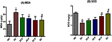 Fig. 3. Comparison in kidney superoxide dismutase (SOD) and malondialdehyde (MDA) concentration in the non-diabetic control (ND), diabetic control (DC), diabetic animals treated with pectin-insulin patches (20.0, 40.8 and 82.9 µg/kg) and diabetic animals subcutaneously administered with insulin. α=p<0.05 when comparing DC and ND, *=p<0.05 when comparing patch treatment and DC, #=p<0.05 when comparing S.C and DC.