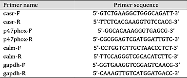 The primer used for qRT-PCR