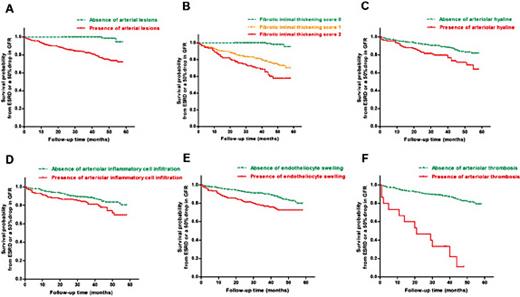 Fig. 2. Survival probability from ESRD or a 50% drop of eGFR in IgAN patients with and without various renal arterial lesions. (A) The solid line represents patients with any renal arterial lesions. The dashed line presents patients without any renal arterial lesions. Compared to the patients without vascular lesions, the patients with vascular lesions have a significantly lower survival from ESRD or a 50% drop in eGFR. (B) Compared to the patients without fibrotic intimal thickening, the patients with arterial fibrotic intimal thickening, either mild or severe, have poorer outcomes. (C) Compared to the patients without arteriolar hyaline (the dashed line), the patients with arteriolar hyaline (the solid line) show poorer survival from the endpoint as well as arteriolar inflammatory cell infiltration, (D) endotheliocyte swelling (E), and arteriolar thrombosis (F).