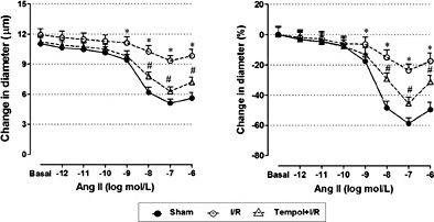 Fig. 7. Effect of tempol on the afferent arteriolar activity in renal I/R injury. A) The representative picture of microperfusion. Doseresponse curve for Ang II in three different groups. Arteriolar luminal diameters were given in µm (B) and contractive percent of the control diameter (C). Data were expressed as mean ± SEM, n=5, * p < 0.05 vs sham group; # p < 0.05 vs I/R group.