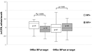 Fig. 2. Comparison of ΔeGFR between HN- and HN+ that maintained office BP at target or not. HN-: other nephropathies; HN+: hypertensive nephropathy.