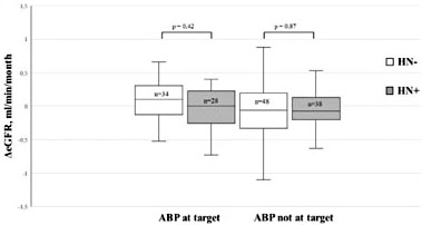 Fig. 3. Comparison of ΔeGFR between HN- and HN+ that maintained ambulatory BP (ABP) at target or not. HN-: other nephropathies; HN+: hypertensive nephropathy.