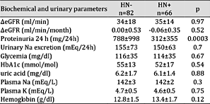 Biochemical and urinary parameters of HN- and HN+ at baseline. eGFR: estimated glomerular filtration rate calculated with CKD EPI formula. HbA1c: glycosylate hemoglobin