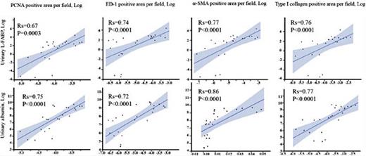 Fig. 7. Correlations between each urinary marker and each histological evaluation.
