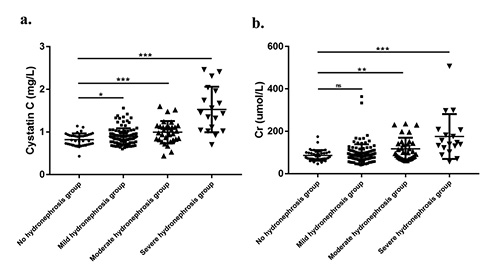 Fig. 3. The relationship between the degree of hydronephrosis and the concentration of CysC (a) and SCr (b; n = 200, * p < 0.05, ** p < 0.01, *** p < 0.001). CysC, Cystatin C; Cr, creatinine.