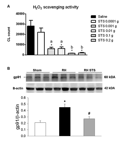 A The effect of STS on H2O2 scavenging activity. Data show that STS displays a dose-dependent manner in scavenging H2O2 activity, and a maximal effect is at the dosage of 0.1 g. *p < 0.05 versus the saline control; A, p < 0.05 versus 0.0001-g STS; B, p < 0.05 versus 0.01-g STS. B The effect of STS on renal NADPH oxidase gp91 expression in the sham, RVHT, and RVHT STS groups. RVHT enhanced renal gp91 expression, whereas STS inhibited RVHT-enhanced gp91 expression. Data are expressed as mean ± SEM (n = 3). *p < 0.05 versus the sham group, #p < 0.05 versus the RVHT group. STS, sodium thiosulfate; RVHT, renovascular hypertension; CL, chemiluminescent.