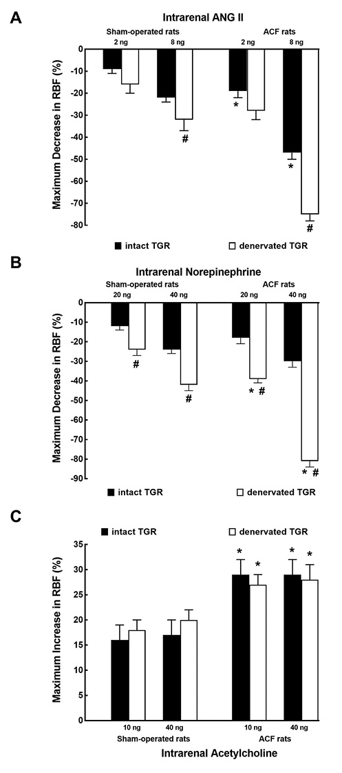 Fig. 5. Maximum change in the RBF induced by intrarenal bolus administration of ANG II (2 and 8 ng) (A), norepinephrine (20 and 40 ng) (B), and acetylcholine (10 and 40 ng) (C) in intact, that is, nondenervated (solid bars), and denervated (open bars) TGR that were either with ACF (right-hand side) or sham-operated (left). *p < 0.05 versus sham-operated rats for the same dose. #p < 0.05 versus intact counterparts for the same dose. All the values shown are means ± SEM. RBF, renal blood flow; ANG II, angiotensin II; TGR, transgenic rats; ACF, aortocaval fistula.