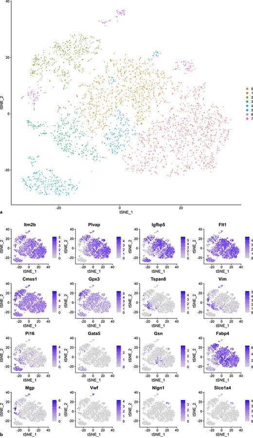 a, b TSNE cluster plot and feature plot of LECs from all samples. The features shown here were the most consistent and selective LEC cluster markers across all samples.