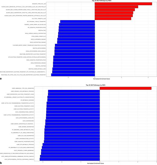 GSEA NES plots for the top 25 M2 (a) and M5 (b) pathways by NES from the DEGs between hypertensive LECs and normotensive LECs. The full GSEA results are available in online supplementary Tables S18 and S19.