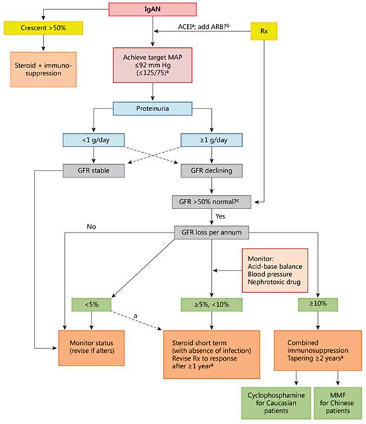 The Treatment of IgA Nephropathy | Kidney Diseases | Karger Publishers