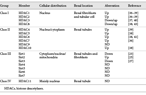 Classification of HDACs and its expression in kidney