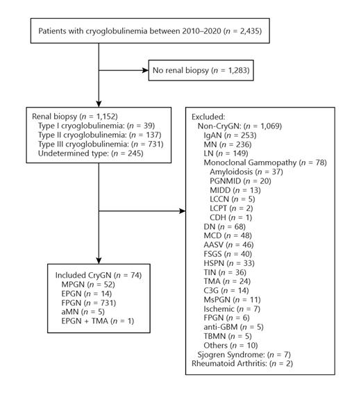 Fig. 1. Study flowchart of patients with cryoglobulinemia who underwent a kidney biopsy from 2010 to 2020. AASV, ANCA-associated small vasculitis; AIN, acute interstitial nephritis; antiGBM, antiglomerular basement membrane; aMN, atypical membranous nephropathy; Cryo-GN, cryoglobulinemic glomerulonephritis; C3G, C3 glomerulopathy; CSH, crystal storing histiocytosis; DN, diabetic nephropathy; EPGN, endocapillary proliferative glomerulonephritis; FSGS, focal segmental glomerulosclerosis; FPGN, focal proliferative glomerulonephritis; HSPN, Henoch-Schonlein purpura nephritis; IgAN, IgA nephropathy; LCCN, light-chain cast nephropathy; LCPT, light-chain proximal tubulopathy; LN, lupus nephritis; MCD, minimal change disease; MN, membranous nephropathy; MIDD, monoclonal immunoglobulin deposition disease; MPGN, membranous proliferative glomerulonephritis; MsPGN, mesangial proliferative glomerulonephritis; PGNMID, proliferative glomerulonephritis and monoclonal immunoglobulin deposits; TBMN, thin basement membrane nephropathy; TIN, tubular-interstitial nephropathy; TMA, thrombotic microangiopathy.