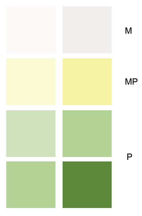  Tabelle zur Bewertung der Farbe des Sputums von am wenigsten bis am meisten eitrig. Die kolorimetrische Skala von Murray ist ein sehr einfaches Instrument, um die entzündliche Komponente des Sputums und die Reaktion auf eine Behandlung zu beurteilen; mod. nach Murray et al. [41] (frei zugänglicher Artikel; keine Genehmigung erforderlich). M = mukös, MP = mukopurulent, mukös und eitrig, P = purulent, eitrig.
