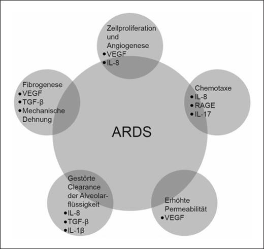 Fig. 3. Chemokine und Zytokine beim ARDS.