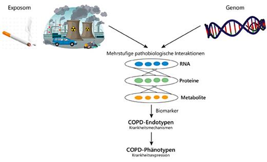 Fig. 1. Gen-Umwelt-Interaktionen, die die Endo-/Phänotypen der COPD verursachen.