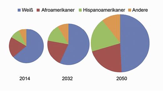 Abb. 2. US-amerikanische Glaukompopulation nach Altersgruppen, 2014, 2032 und 2050.