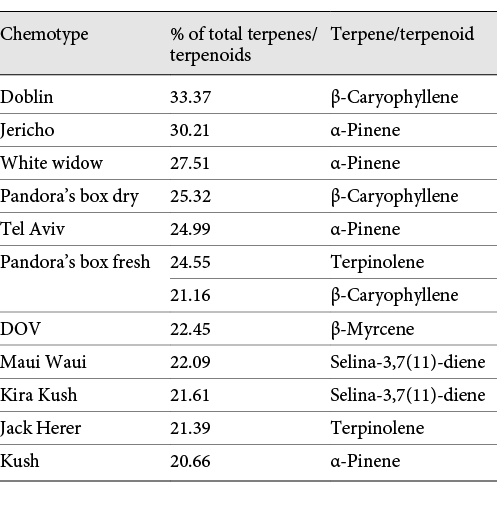 Inflorescences of cannabis chemotypes (the main terpene in the sample is above 20% of total)