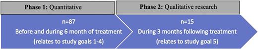 Sequential mixed-methods research design.